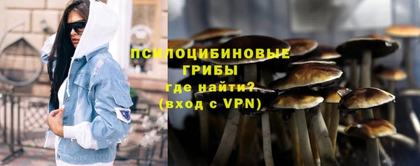 apvp Балахна