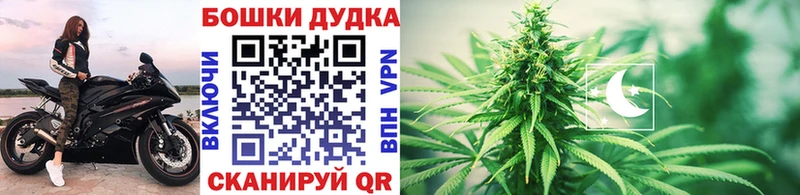 Конопля семена  Купить где  Козельск 